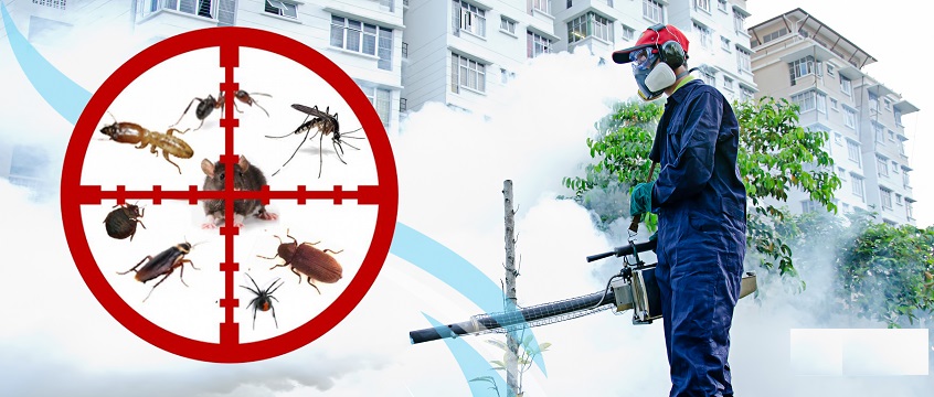 fumigation services in ikeja lagos