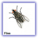 fly fumigation nigeria