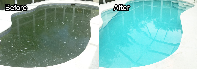 swimming pool cleaning experts in Abuja