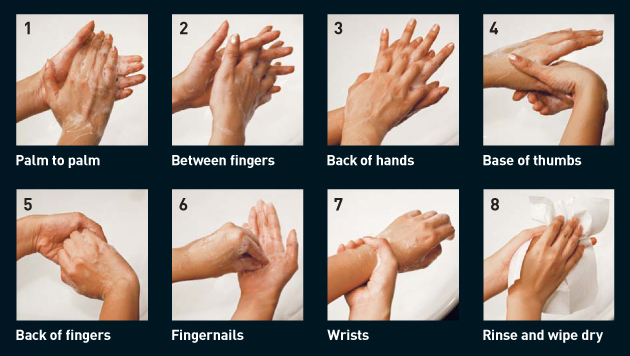 steps to getting a clean hand