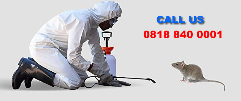 rat control service lagos