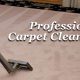 area rug cleaning service