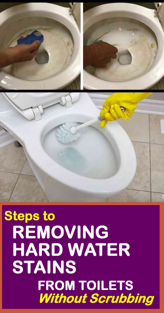 tankskib Ordsprog læber METHODS TO REMOVE HARD WATER STAINS FROM TOILETS - Cleaneat.NG
