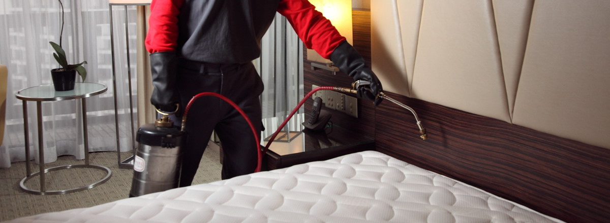 Bed Bug Exterminator Nyc Services