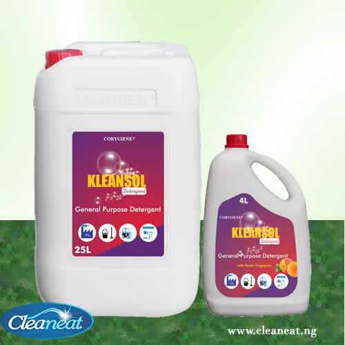 kleansol liquid detergent price