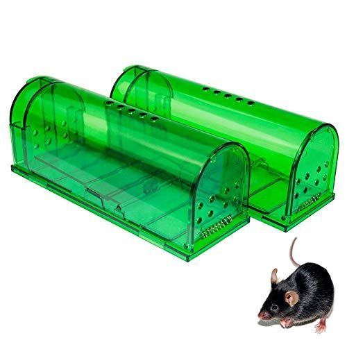 Humane-mouse-trap-in-lagos-nigeria