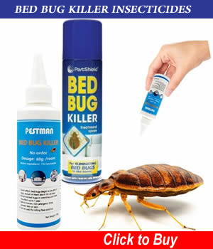 strongest bed bug killer in Nigeria