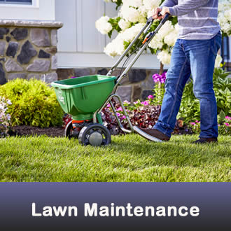 lawn maintenance training