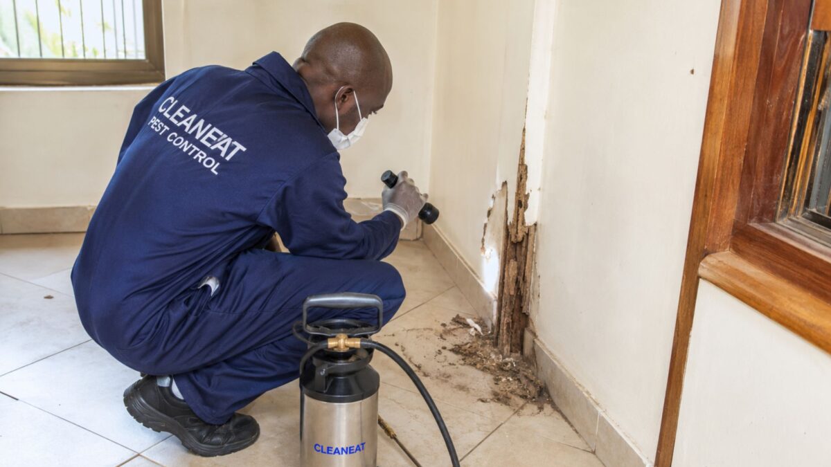 Professional termite inspection and fumigation process