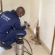 Professional termite inspection and fumigation process